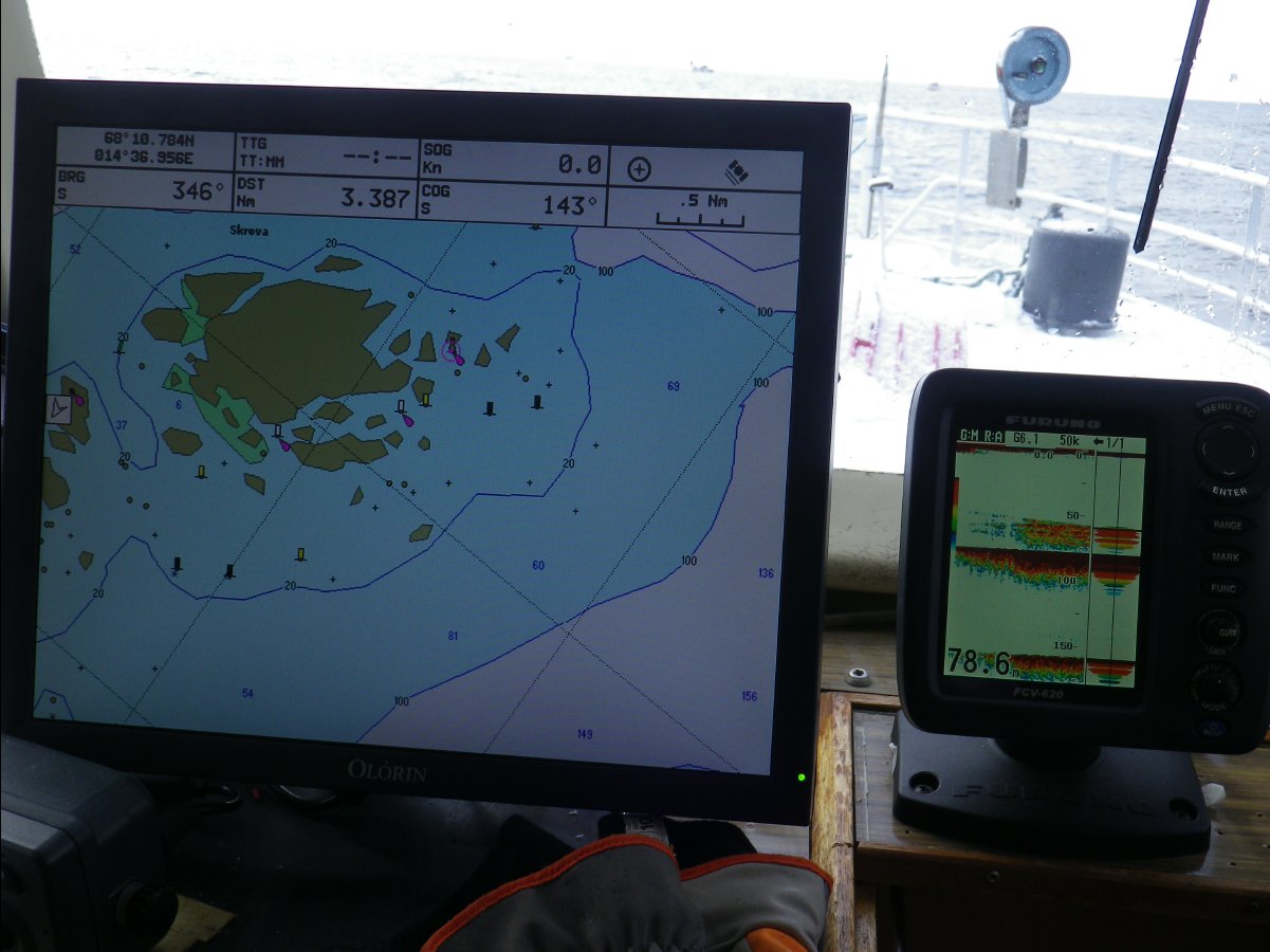 Cod Fishing13